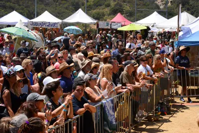 DSC_2000 (Large).JPG